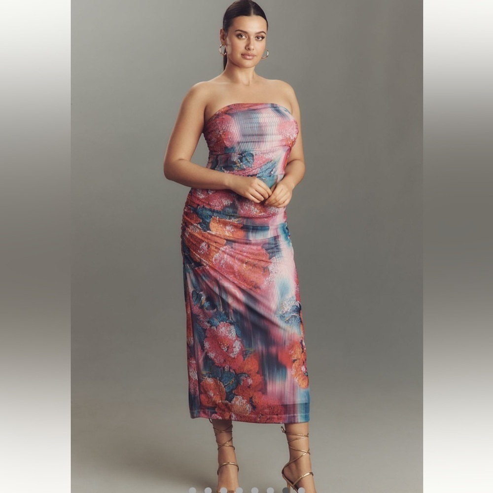 NWT The Soleil Slim Strapless Ruched Mesh Dress